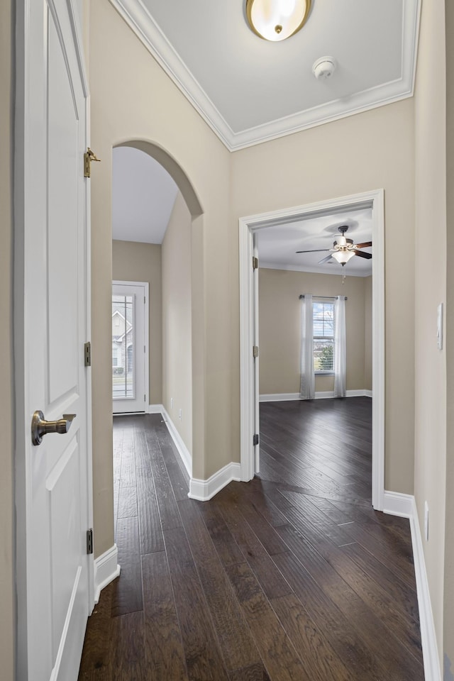 hallway featuring dark wood-type flooring and ornamental molding