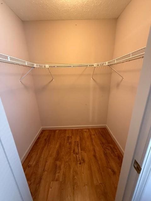 spacious closet with dark wood-type flooring