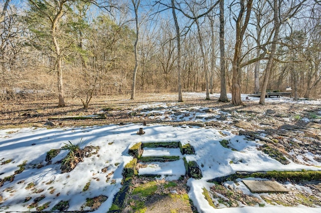 view of yard layered in snow