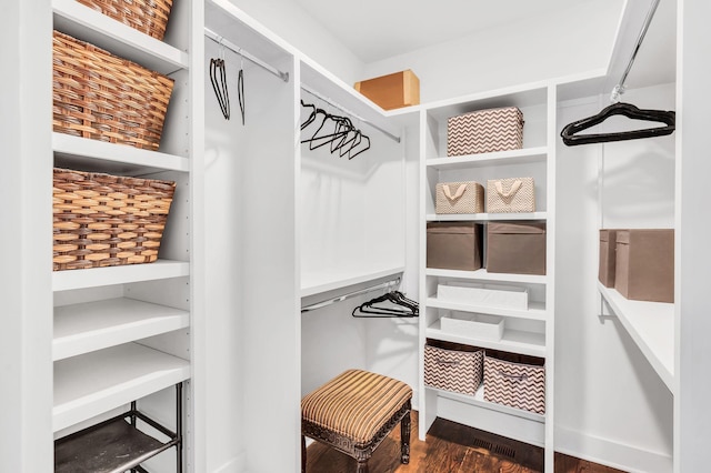 spacious closet with dark wood-type flooring