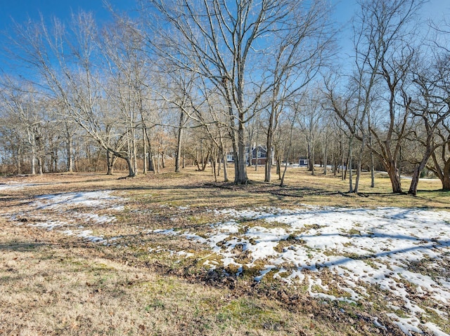 view of yard layered in snow