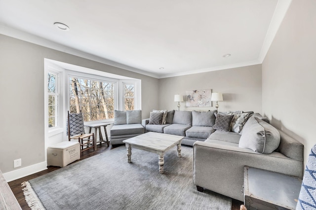 living room featuring dark wood-type flooring and crown molding