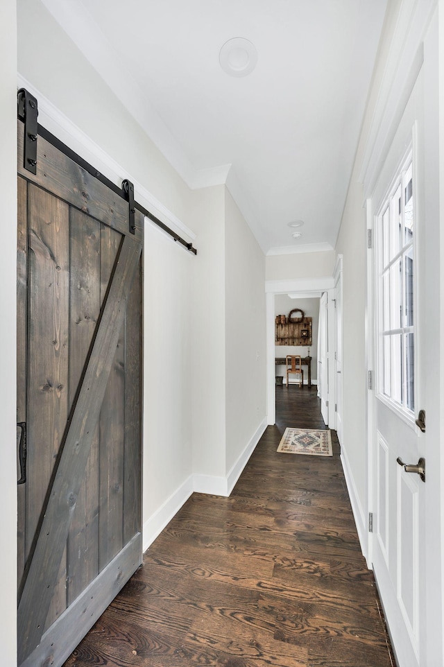 foyer entrance featuring crown molding, a barn door, and dark wood-type flooring