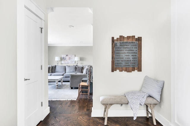 living area with dark hardwood / wood-style flooring