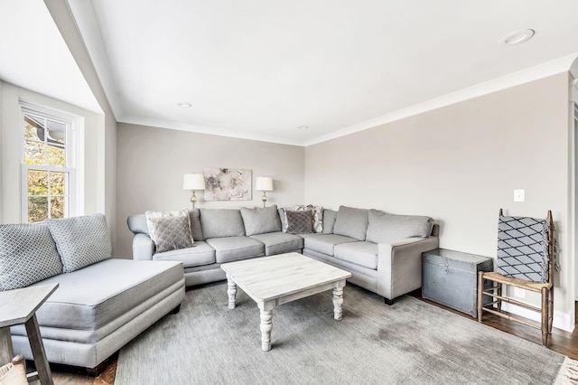 living room featuring ornamental molding and hardwood / wood-style floors