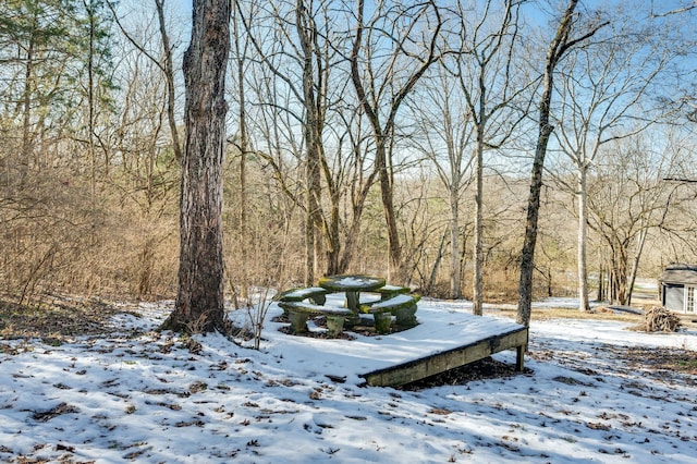 view of snowy yard