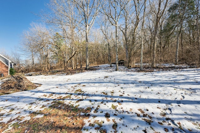 view of yard covered in snow