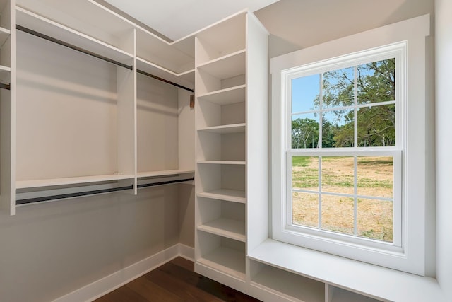 walk in closet featuring dark hardwood / wood-style flooring