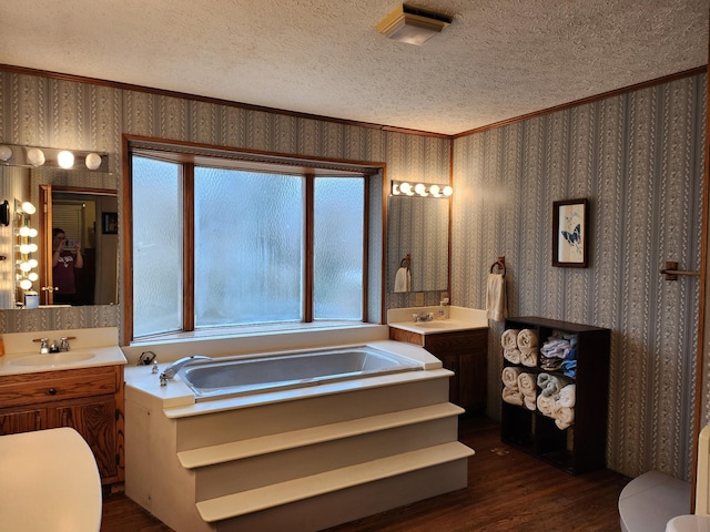 bathroom with vanity, a bathing tub, and a textured ceiling