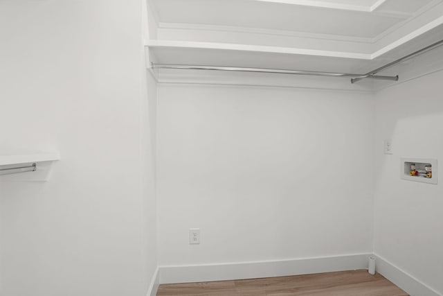 walk in closet with hardwood / wood-style flooring