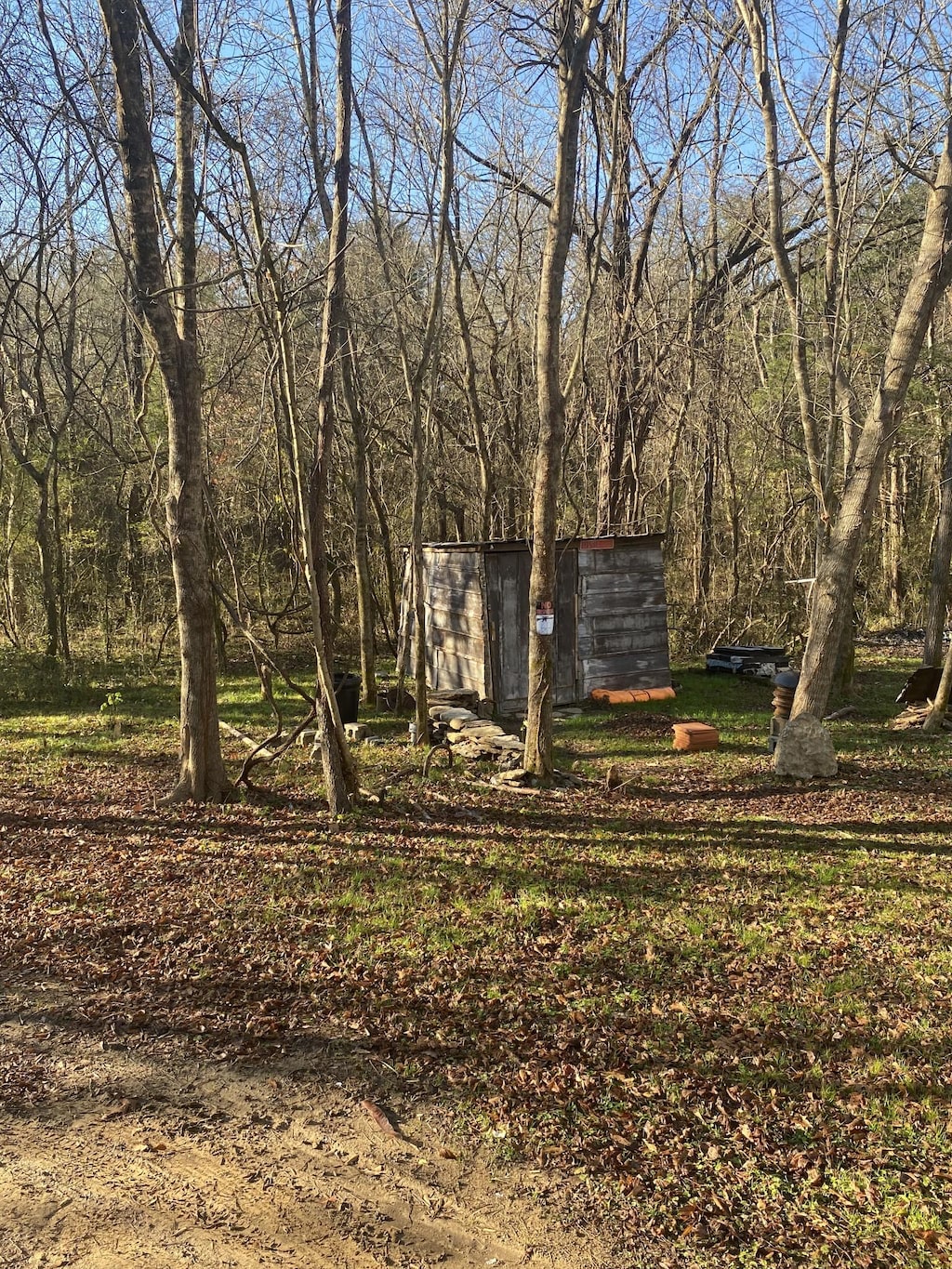 view of yard with a storage unit