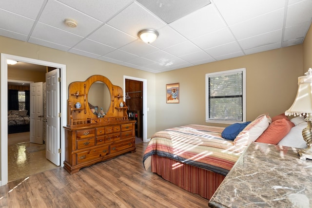 bedroom with hardwood / wood-style floors and a drop ceiling