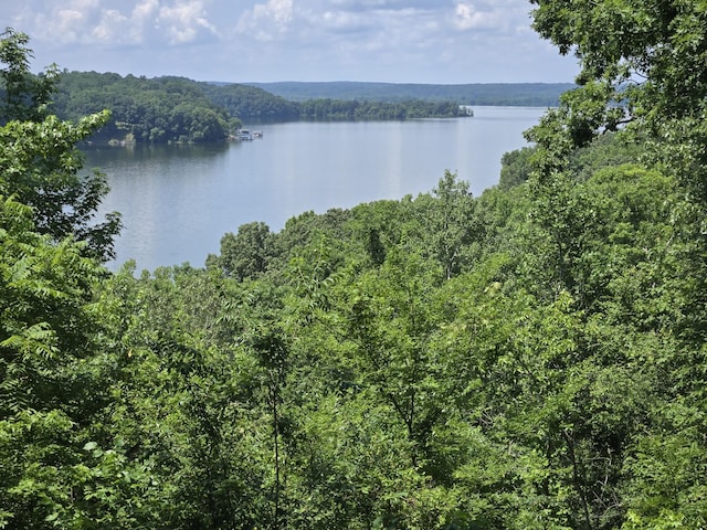 9828 Clydeton Rd, Waverly, TN 37185 - water view featuring a heavily wooded area