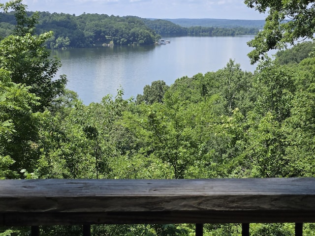 9828 Clydeton Rd, Waverly, TN 37185 - water view with a heavily wooded area