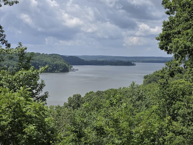 9828 Clydeton Rd, Waverly, TN 37185 - photo 61