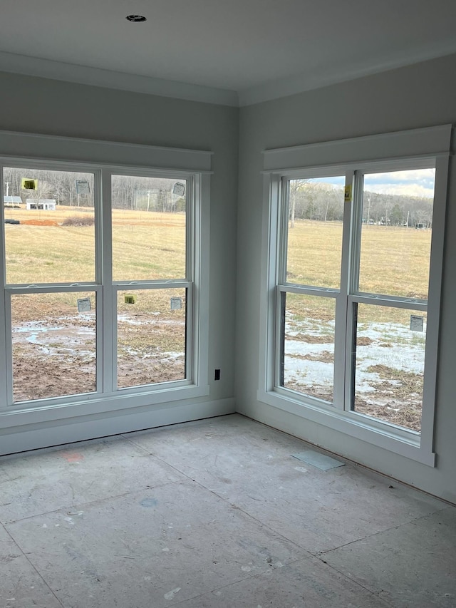 spare room featuring crown molding and plenty of natural light