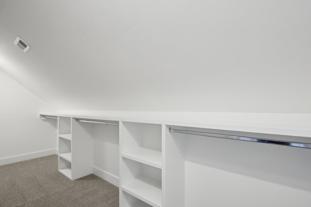 spacious closet with light carpet