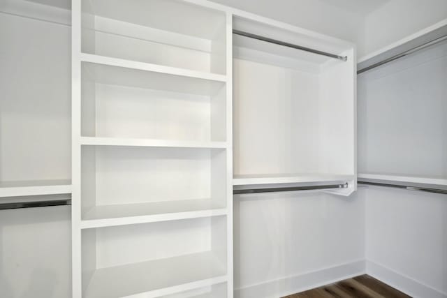 spacious closet featuring dark hardwood / wood-style floors