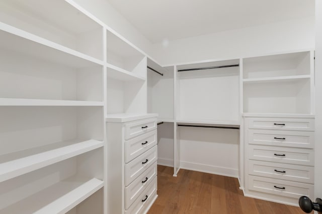 walk in closet with hardwood / wood-style flooring