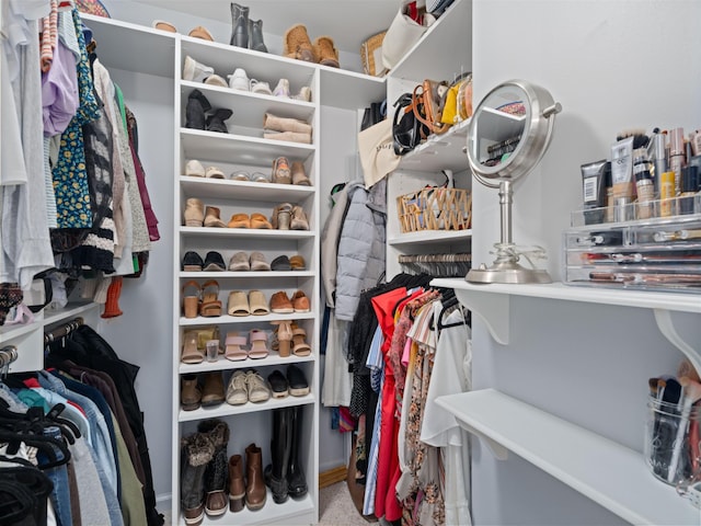 view of spacious closet