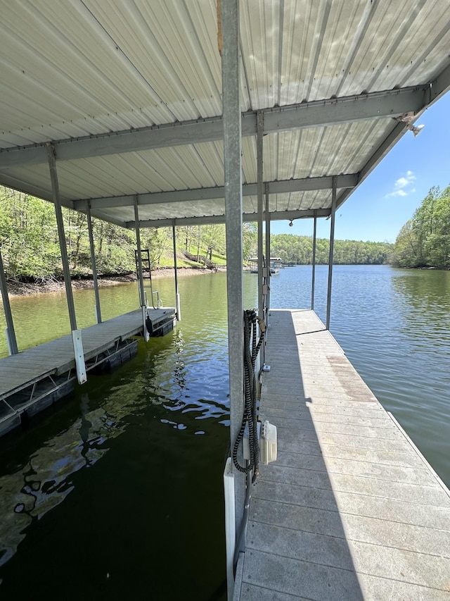 dock area with a water view