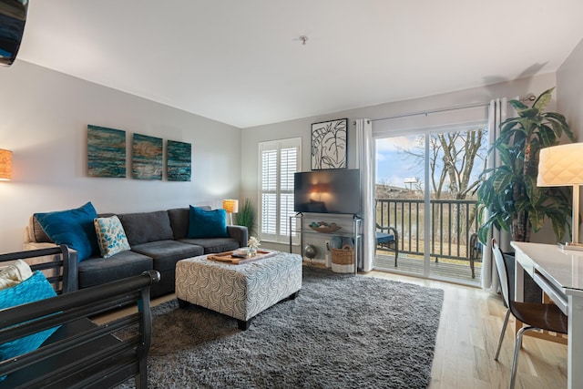 living room featuring wood-type flooring