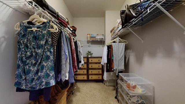 view of spacious closet