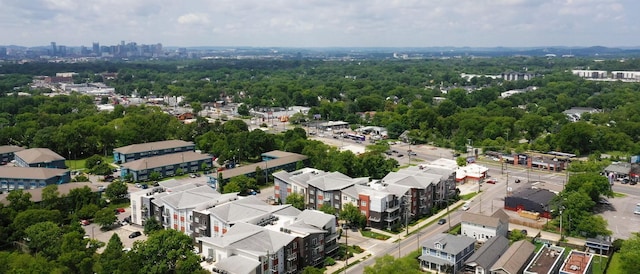 bird's eye view