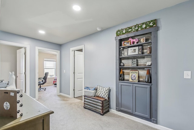 interior space with light carpet