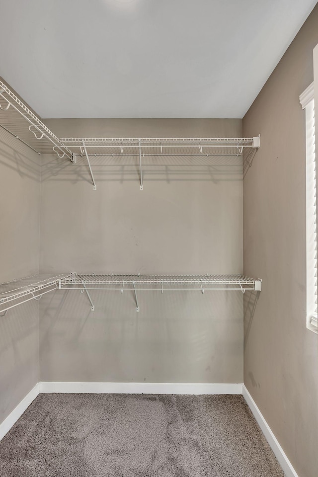 spacious closet with carpet