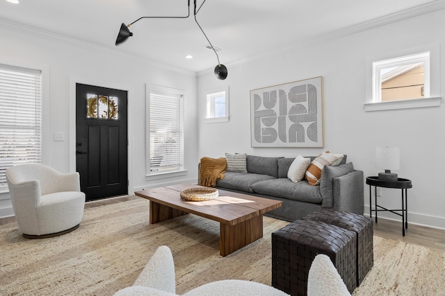 living room with ornamental molding and light hardwood / wood-style flooring