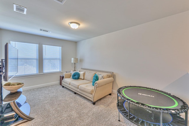 living room featuring light colored carpet