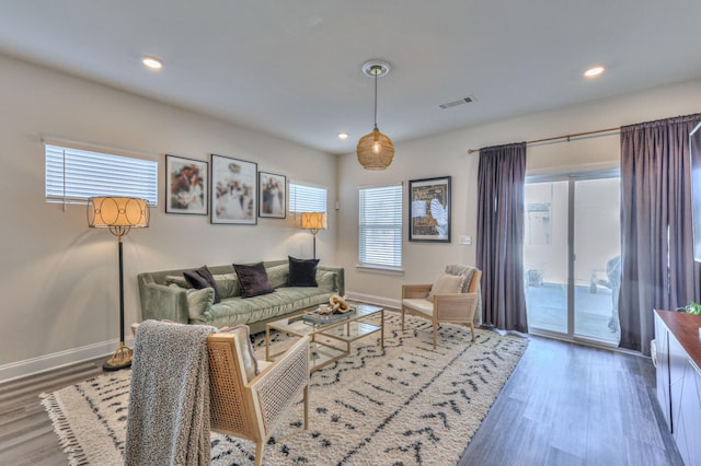 living room featuring dark wood-type flooring