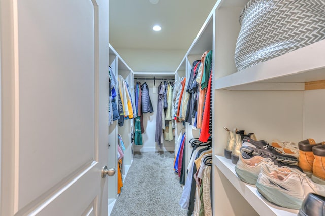 spacious closet with carpet