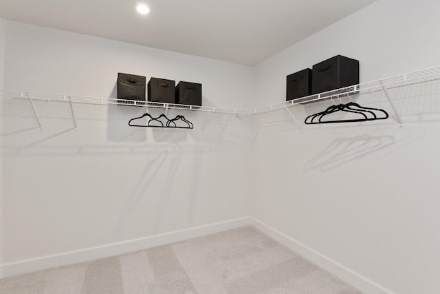 spacious closet featuring carpet