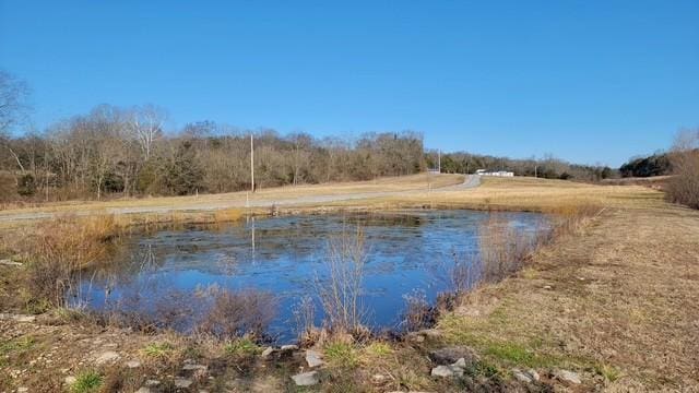 view of water feature