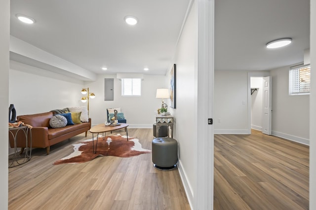 living room with a healthy amount of sunlight, electric panel, and light hardwood / wood-style flooring