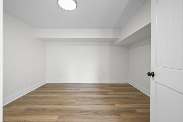 walk in closet with wood-type flooring