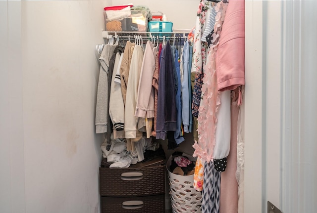 view of spacious closet