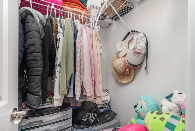 view of walk in closet