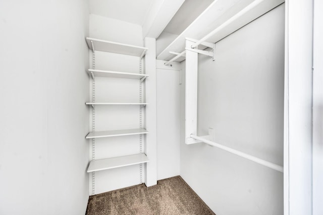 spacious closet with dark colored carpet