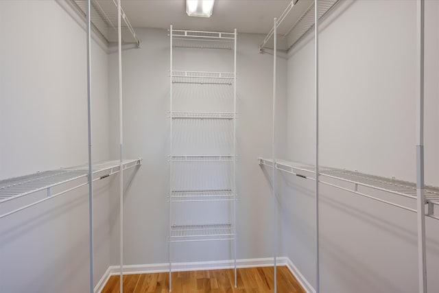 spacious closet featuring hardwood / wood-style flooring