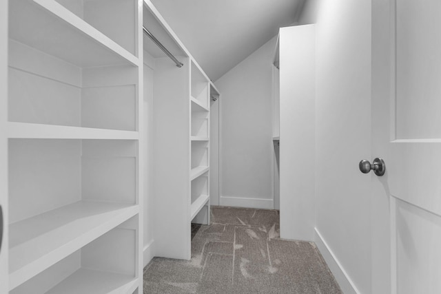 walk in closet with dark colored carpet