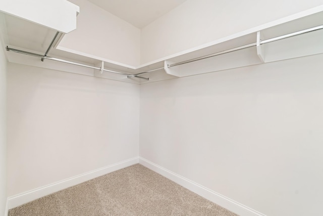 spacious closet with carpet flooring