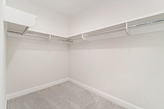 spacious closet featuring carpet floors