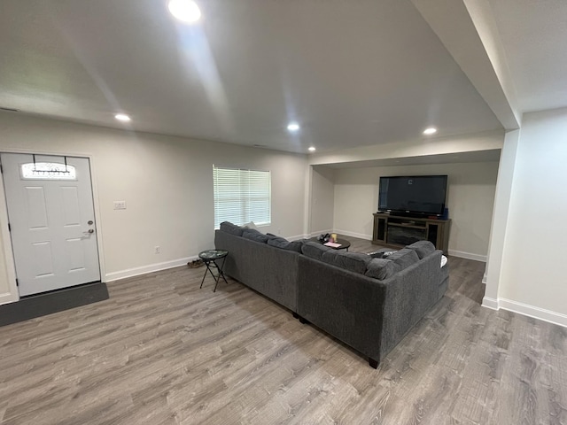 living room with hardwood / wood-style flooring