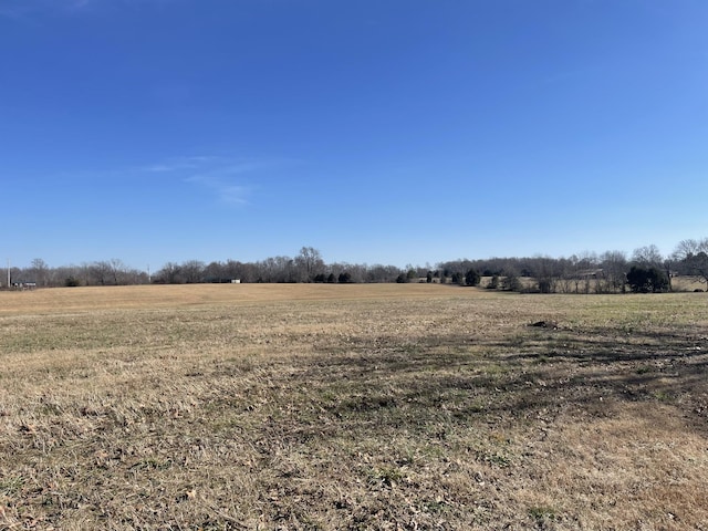 view of local wilderness featuring a rural view