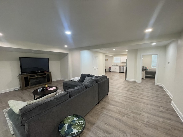 living room featuring wood-type flooring