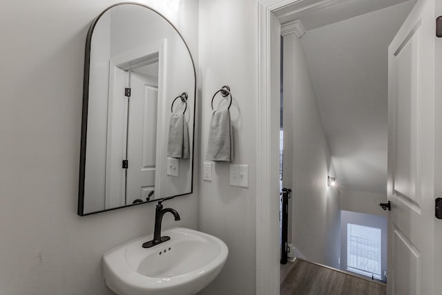 bathroom featuring sink and hardwood / wood-style floors