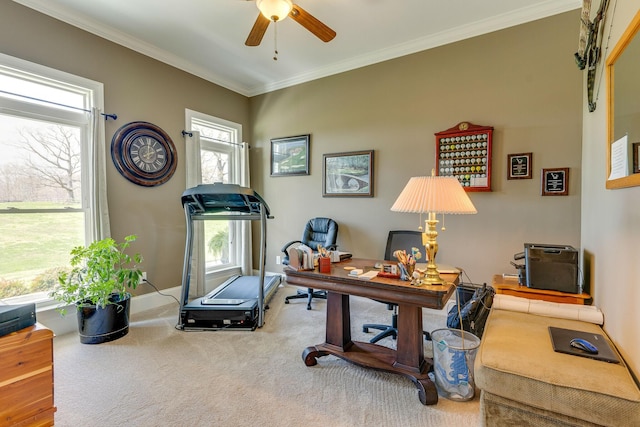 office area featuring ceiling fan, ornamental molding, and carpet floors